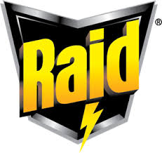 RAİD