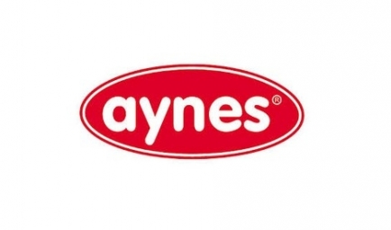 Aynes
